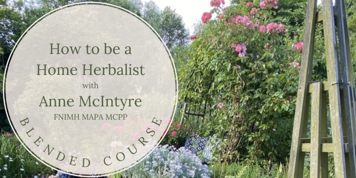 How to be a Home Herbalist with Anne McIntyre